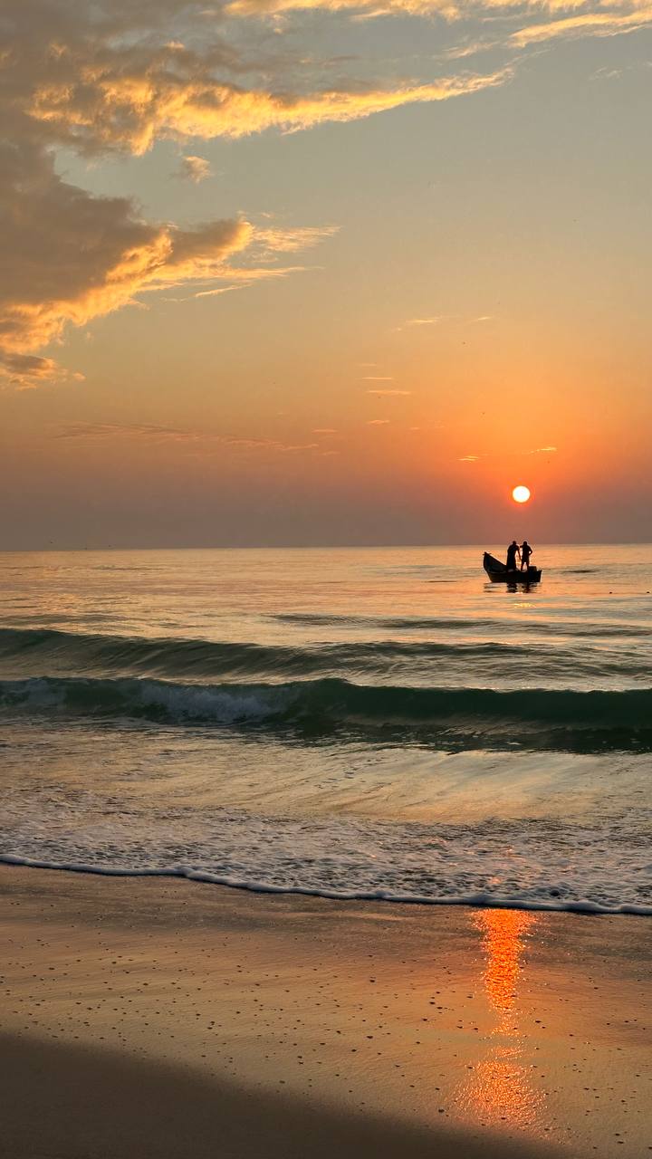 Сокотра: самый закрытый остров планеты (6/42)