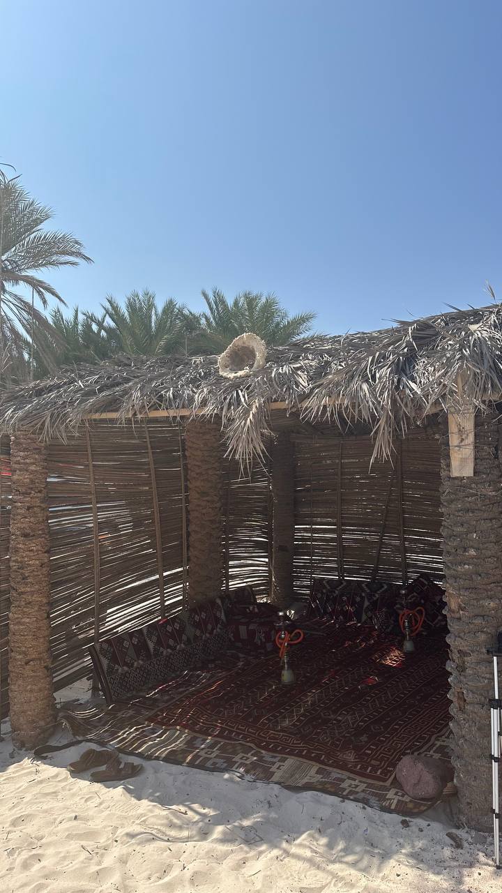 Сокотра: самый закрытый остров планеты (14/42)