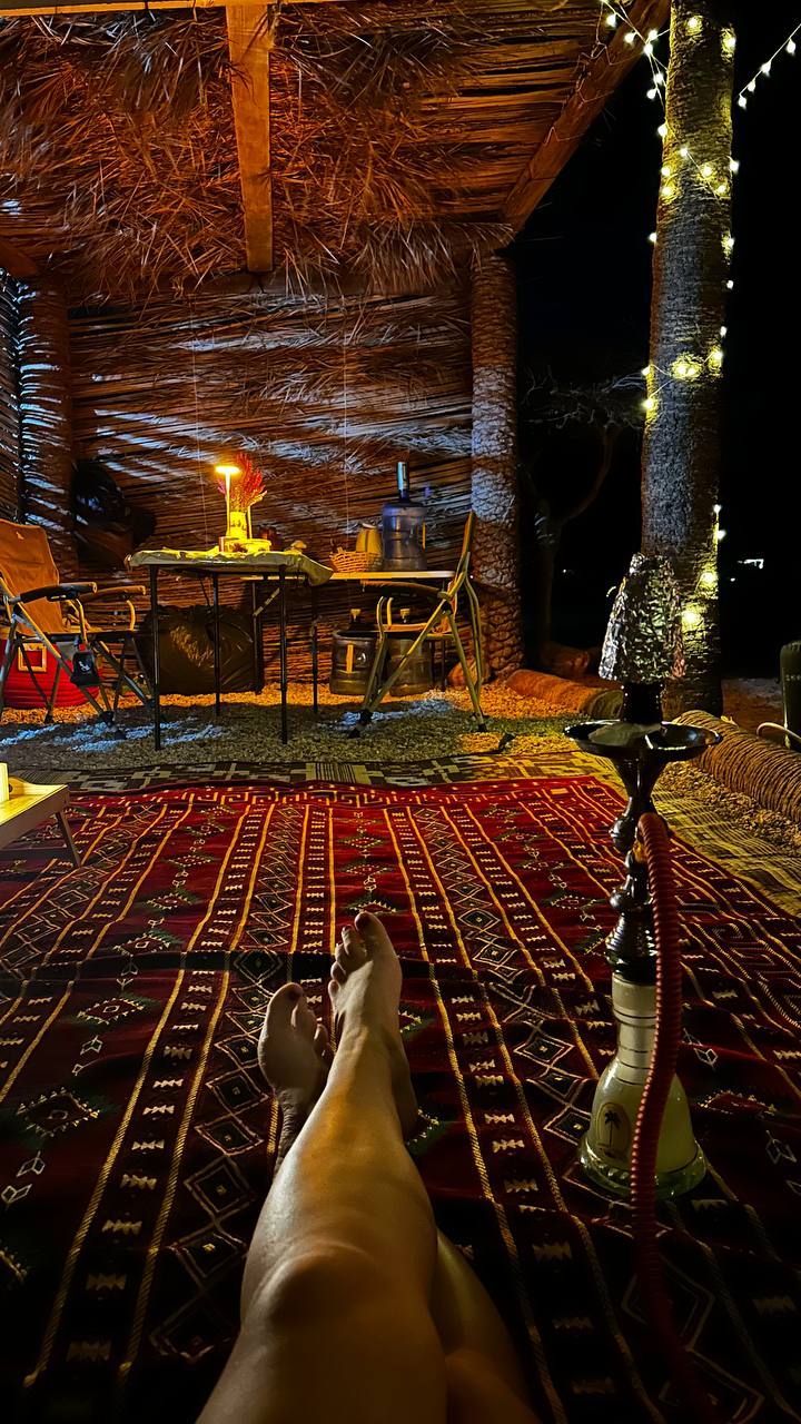 Сокотра: самый закрытый остров планеты (11/42)