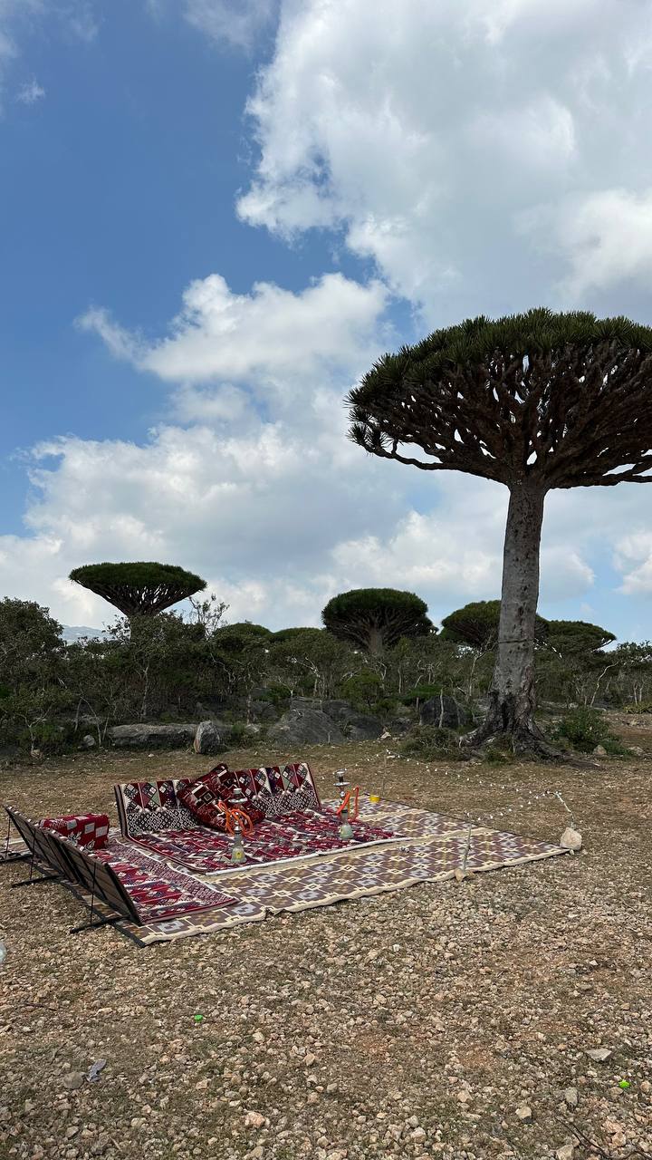 Сокотра: самый закрытый остров планеты (4/42)