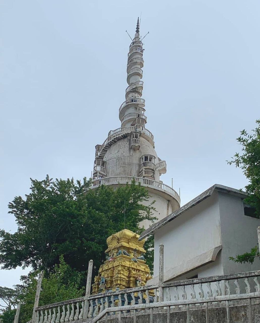 Сердце острова + слоны Пиннавела 2 дня с любого города Шри-Ланки (5/21)