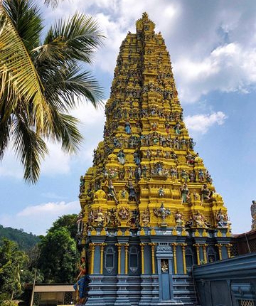 Сердце острова + слоны Пиннавела 2 дня с любого города Шри-Ланки (9/21)