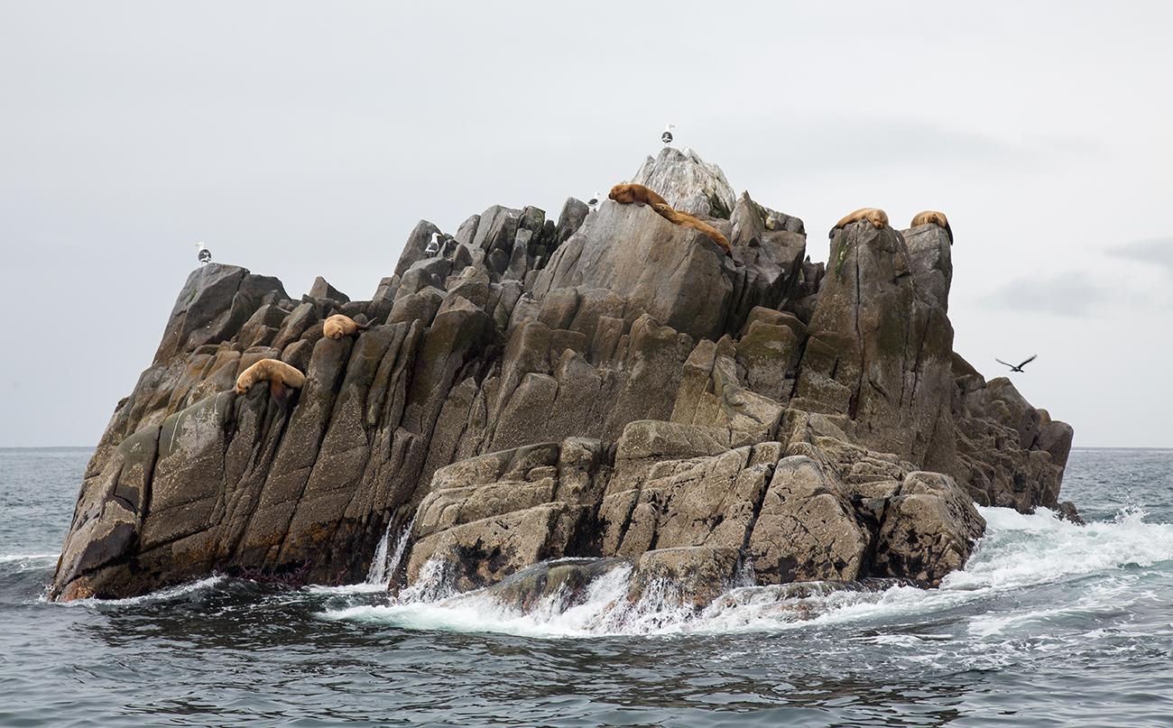 Охотоморский экспресс (5/32)