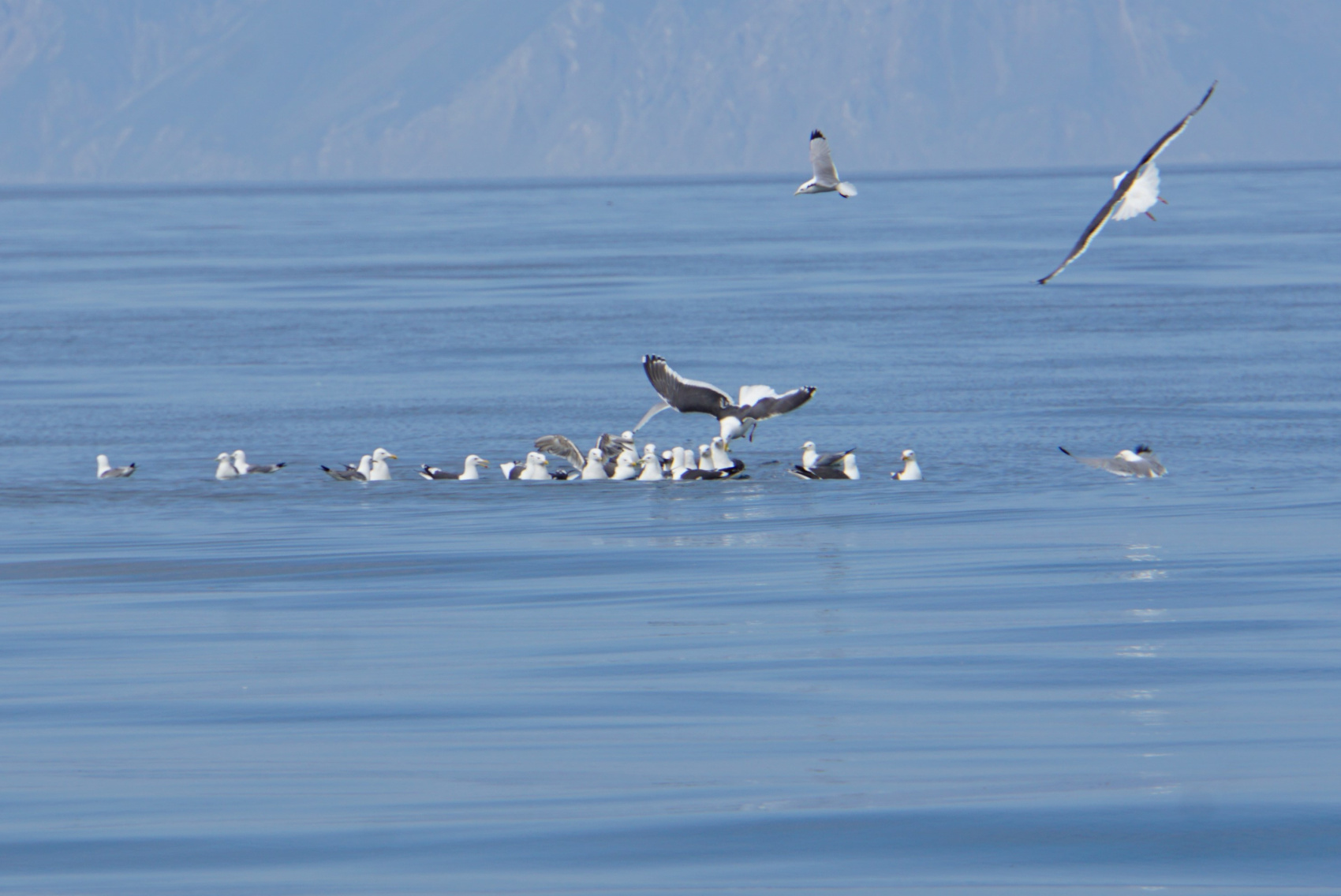 Охотоморский экспресс (12/32)