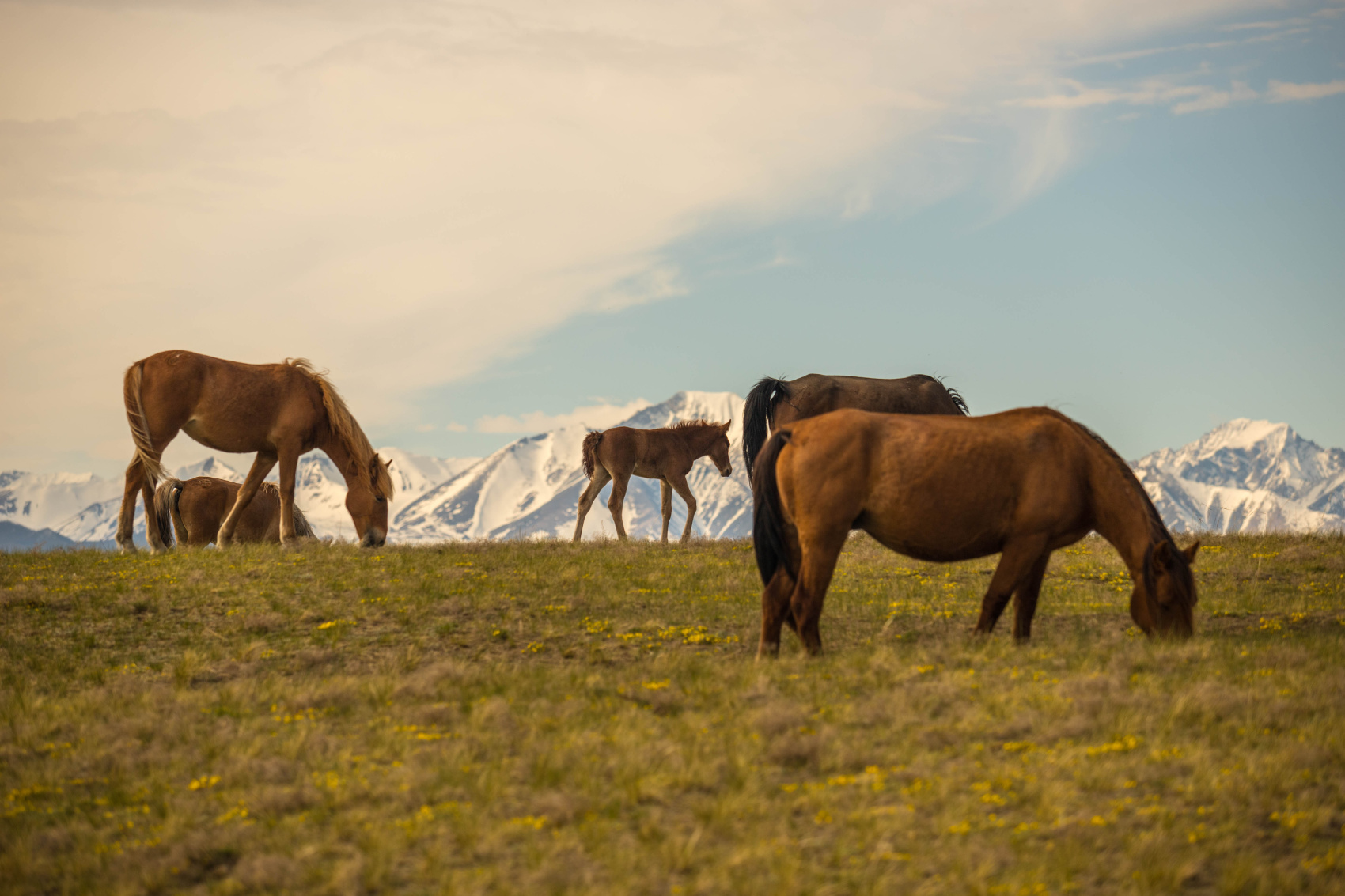 Байкал в Эксклюзивном Авторском Путеществи в Бурятию  Баргузинскую Долину. (28/69)