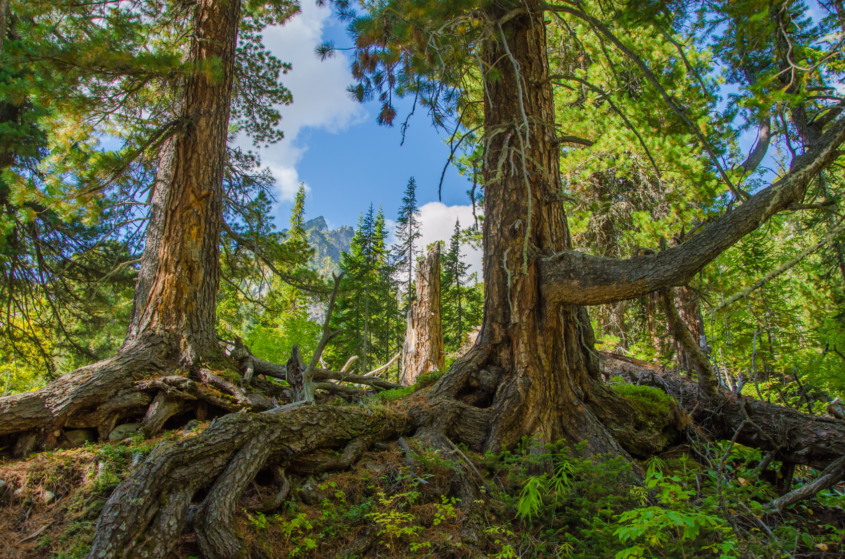 Байкал в Эксклюзивном Авторском Путеществи в Бурятию  Баргузинскую Долину. (42/69)