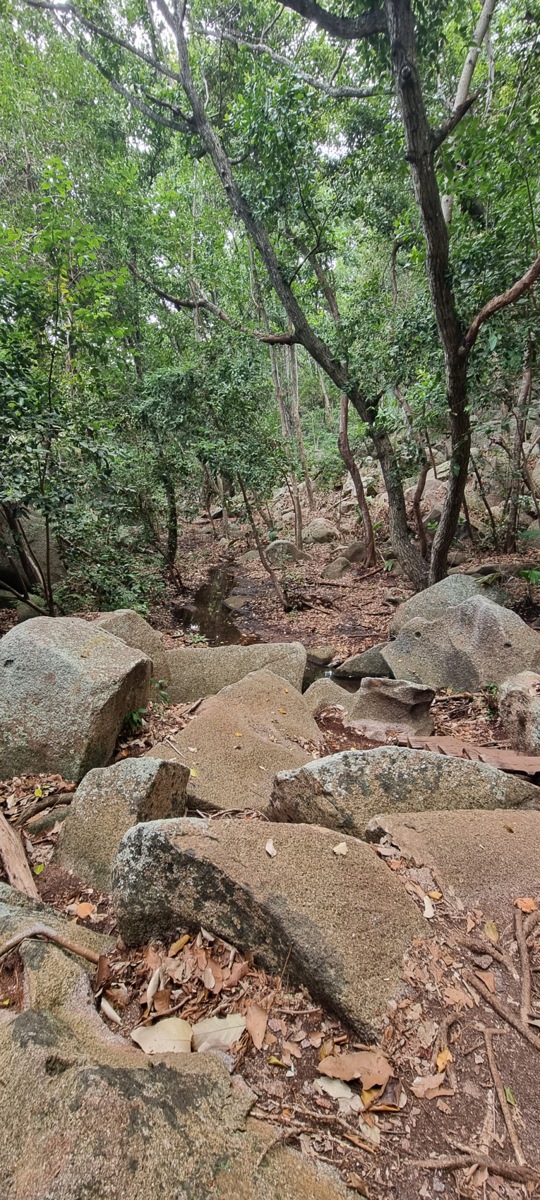 Сейшелы на Катамаране: 7 островов — 7 дней! Частные острова! (10/23)