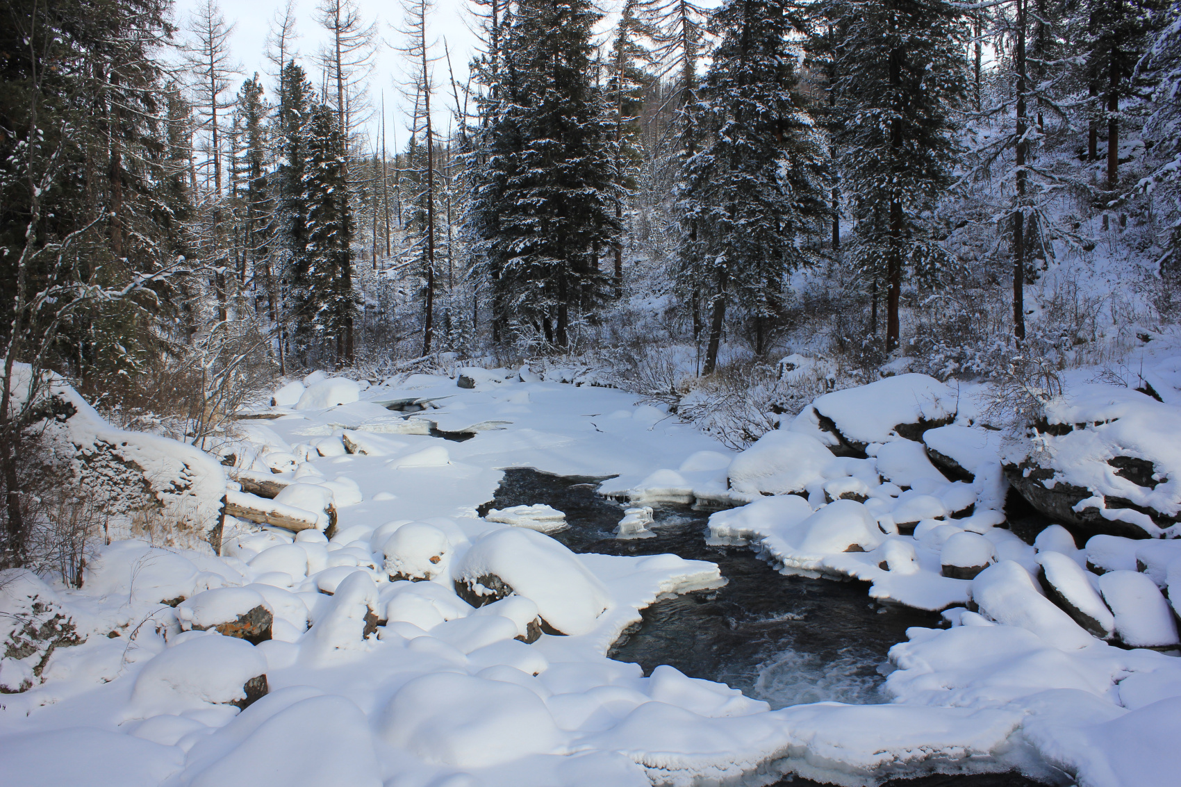 Зимняя сказка в Саянах (3/14)
