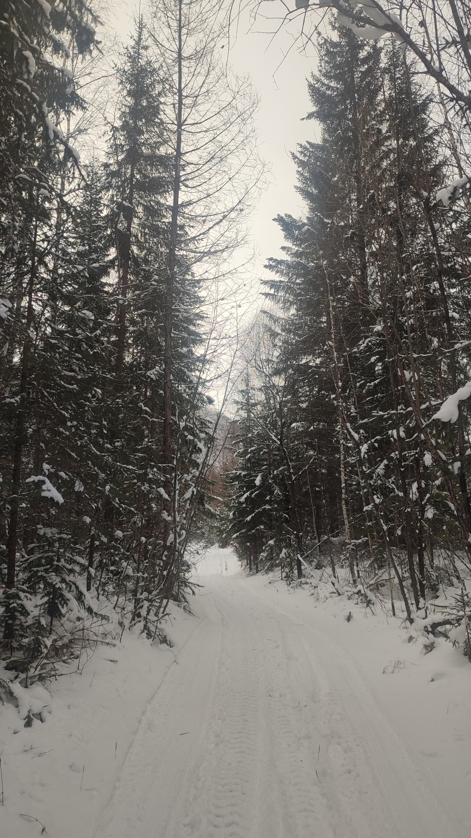 Зимняя сказка в Саянах (5/14)