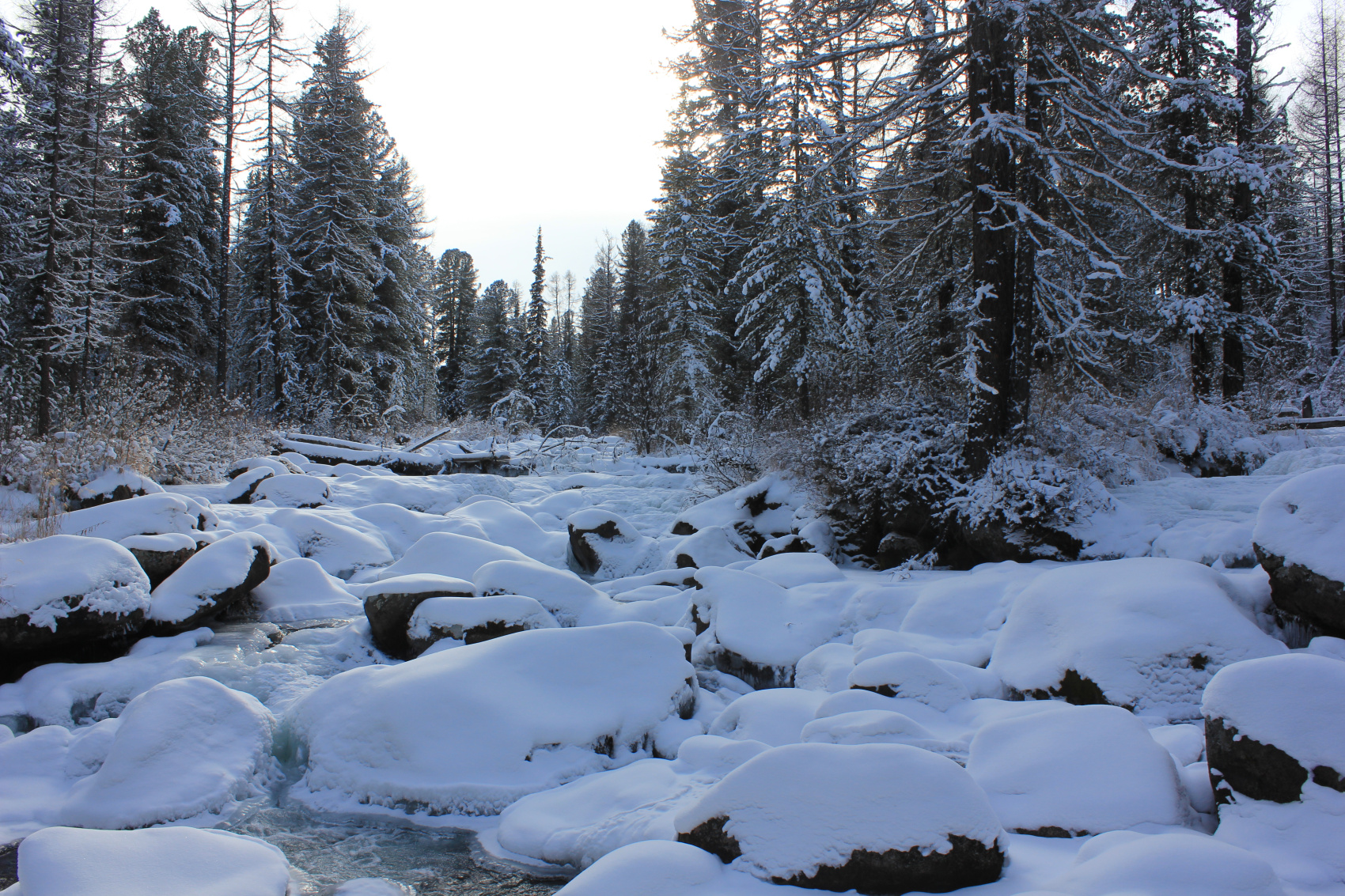 Зимняя сказка в Саянах (4/14)