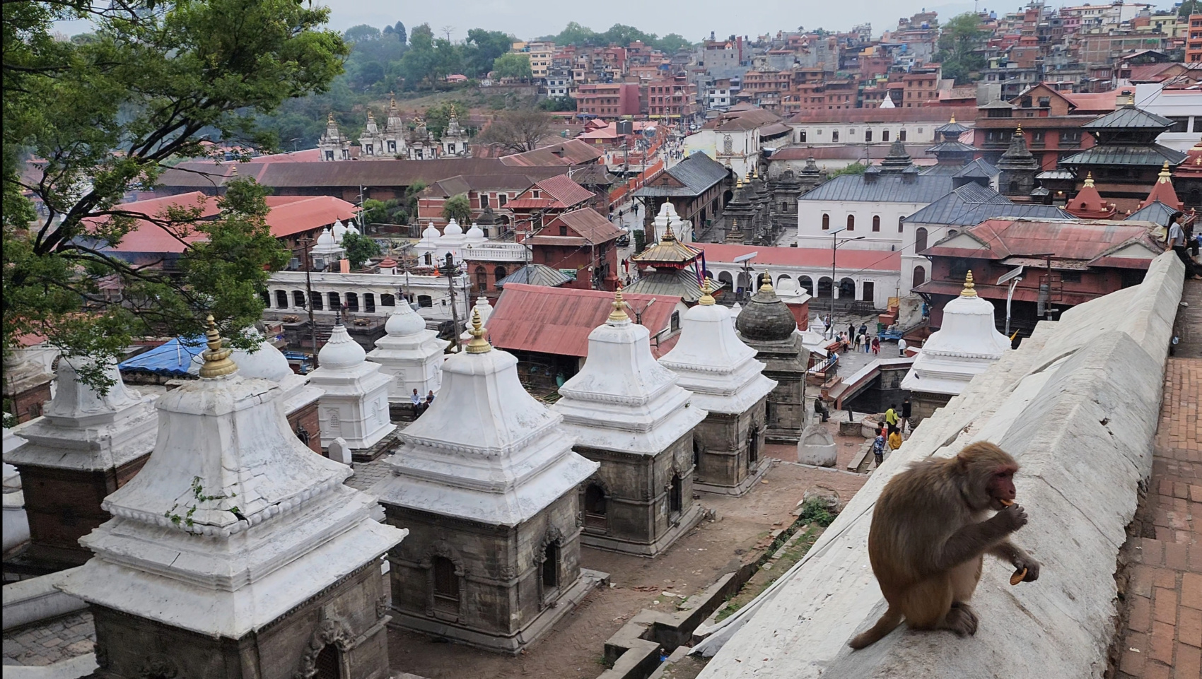 Золотое ожерелье Непала (13/79)