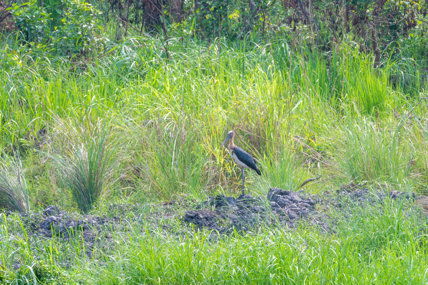 Золотое ожерелье Непала (48/79)
