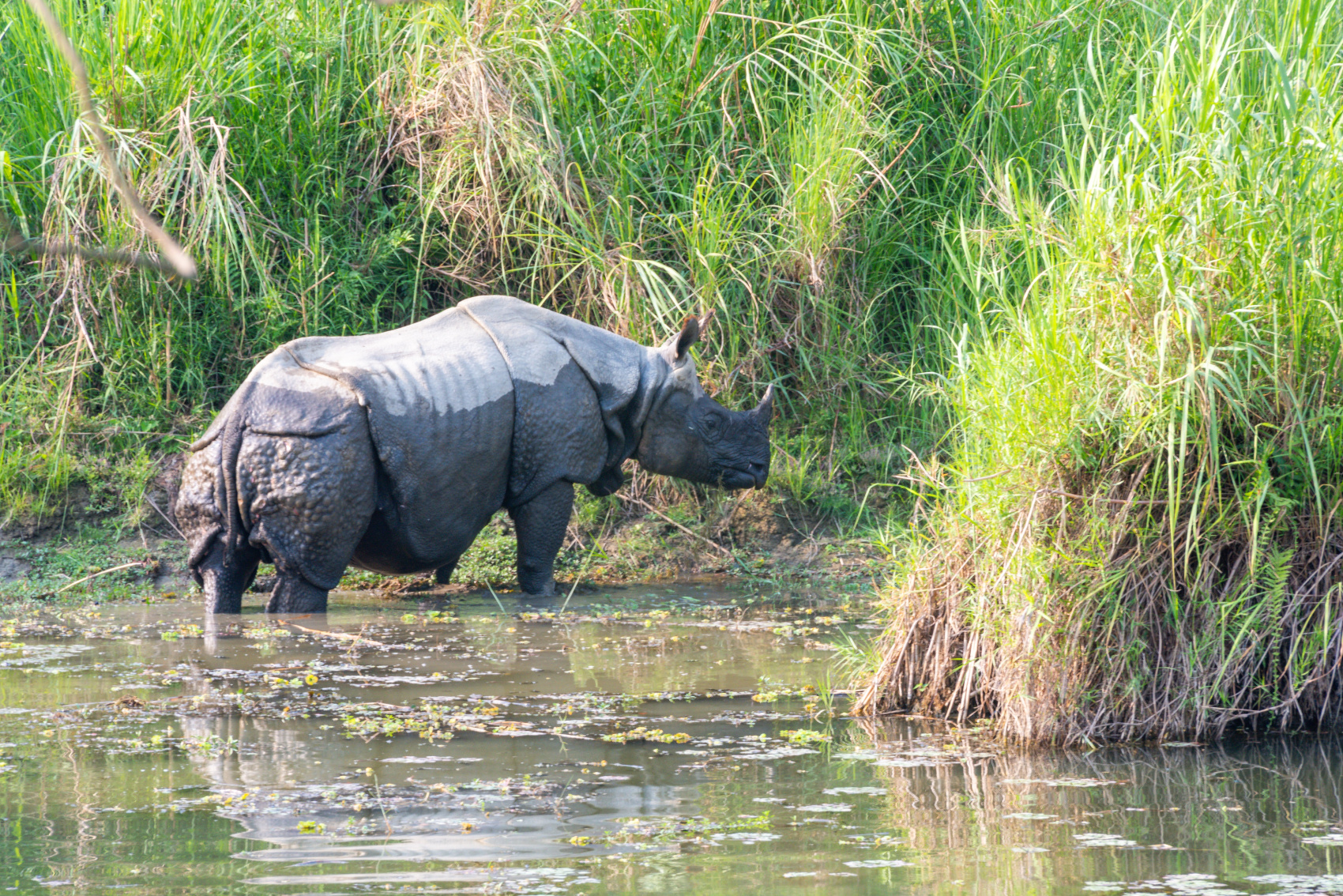 Золотое ожерелье Непала (49/79)