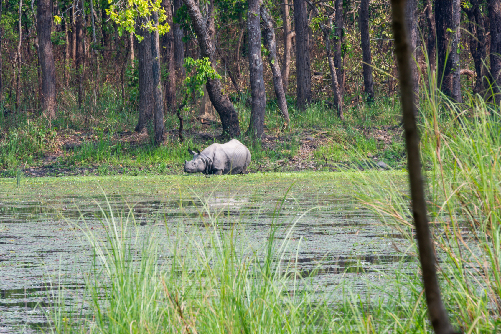 Золотое ожерелье Непала (45/79)