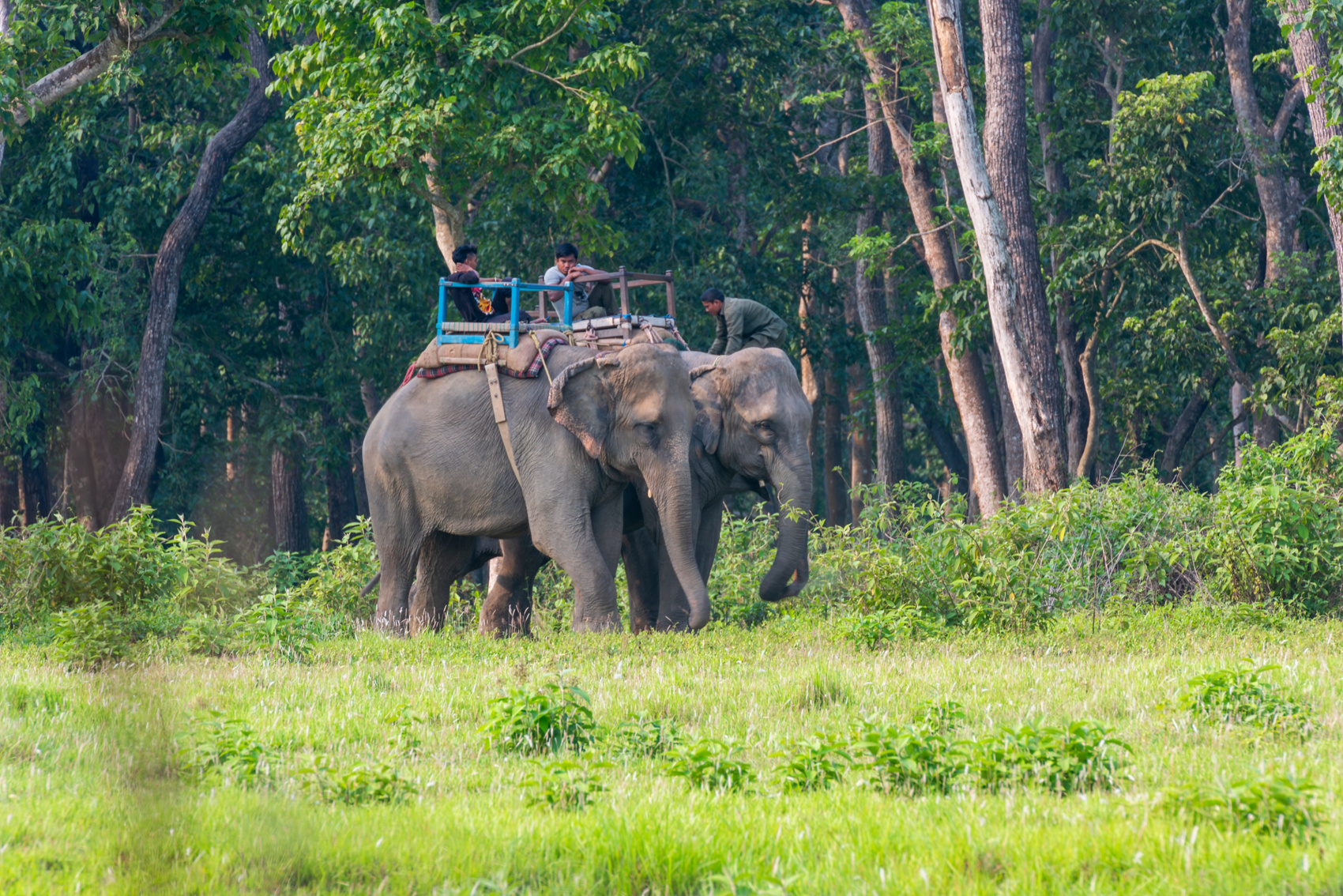 Золотое ожерелье Непала (36/79)