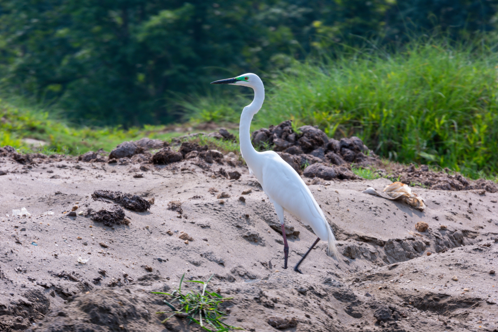 Золотое ожерелье Непала (40/79)