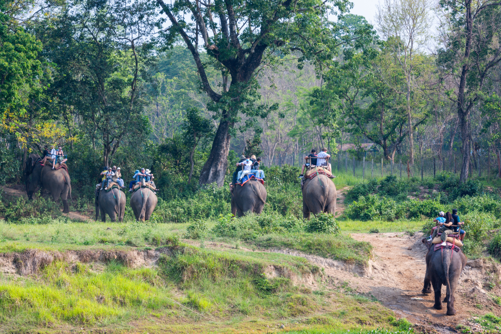Золотое ожерелье Непала (38/79)