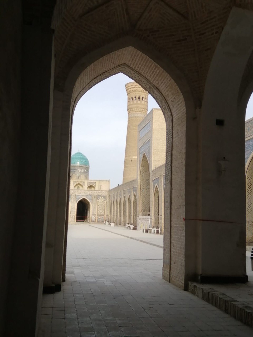 Мой Узбекистан (Ташкент-Горы-Самарканд (2 дня)-Бухара (2 дня) (11/31)