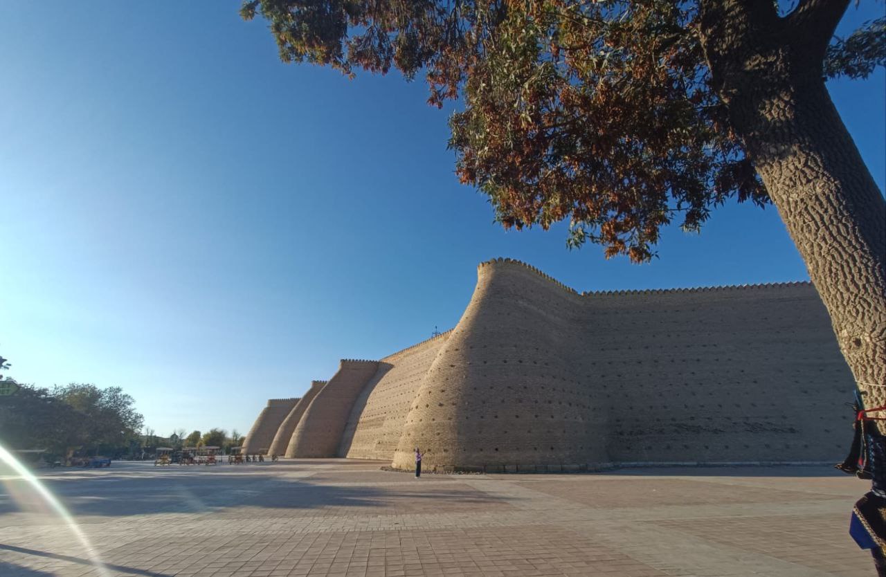 Тур по лучшим локациям Узбекистана (Самарканд-Бухара-Хива) (7/14)