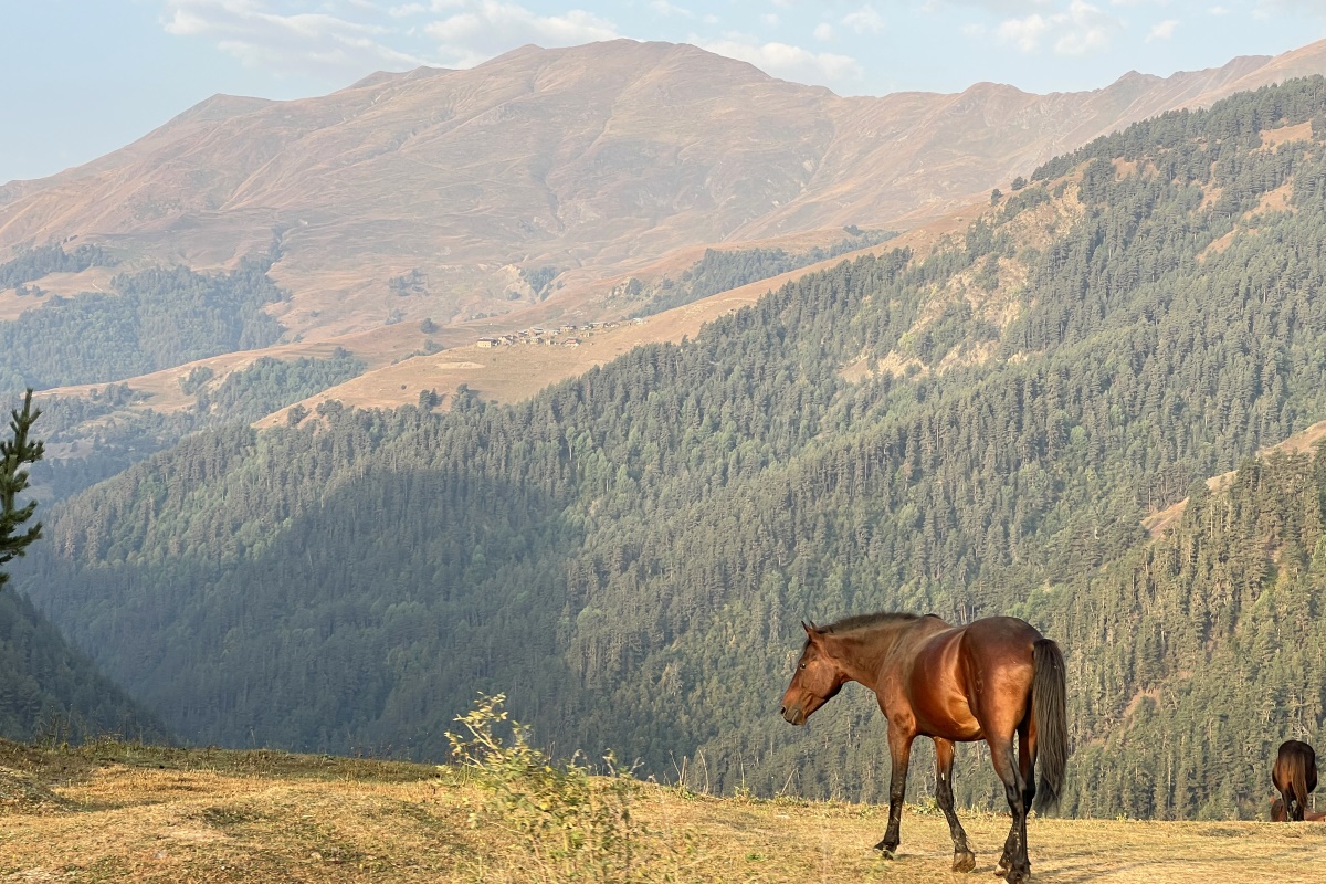 В гости к ГОРЦАМ. Тайны ХЕВСУРЕТИ и ТУШЕТИ (55/93)
