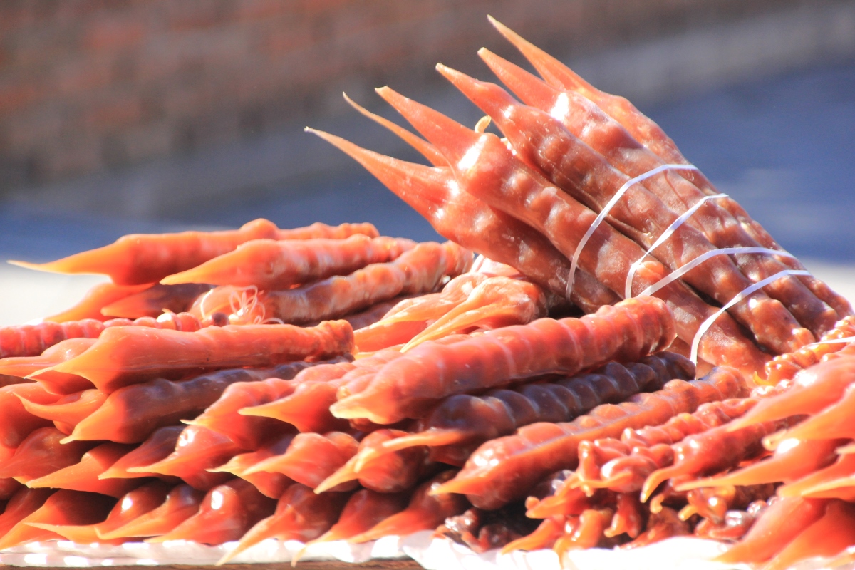 В гости к ГОРЦАМ. Тайны ХЕВСУРЕТИ и ТУШЕТИ (56/93)