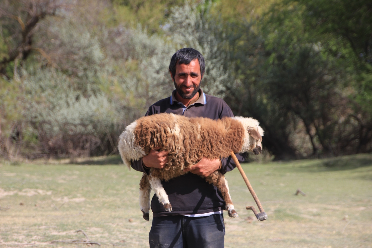 В гости к ГОРЦАМ. Тайны ХЕВСУРЕТИ и ТУШЕТИ (31/93)