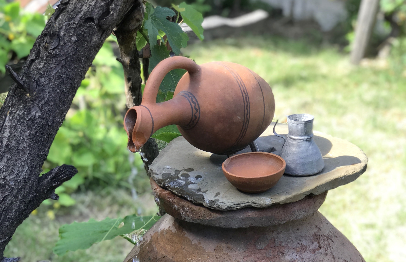 Винный девичник в Кахети и Немецкой Грузии (6/100)