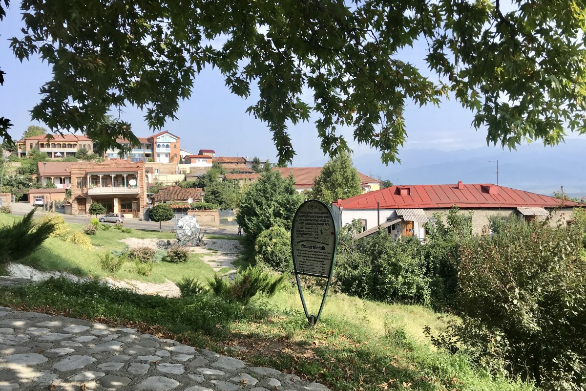 Винный девичник в Кахети и Немецкой Грузии (25/100)