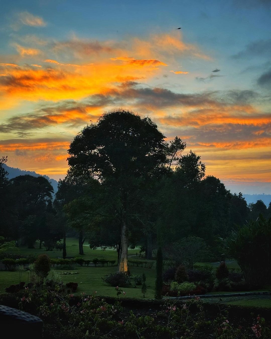 Большое приключение по Бали,Нуса Пениде и Яве с восхождением на Иджен! (175/269)