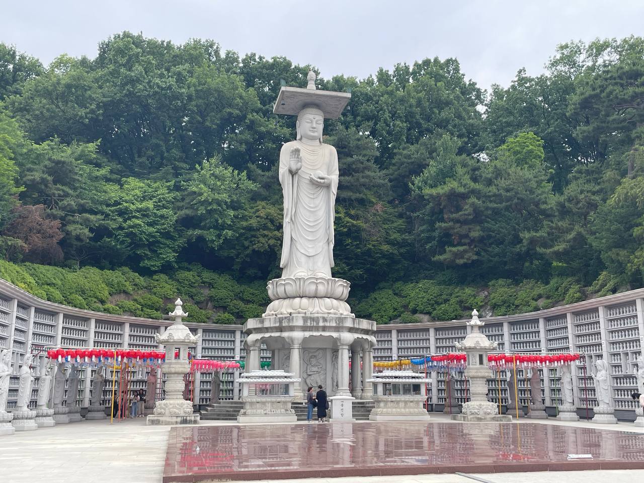 Весна в Южной Корее: Симфония Сакуры и Морского Бриза (3/8)