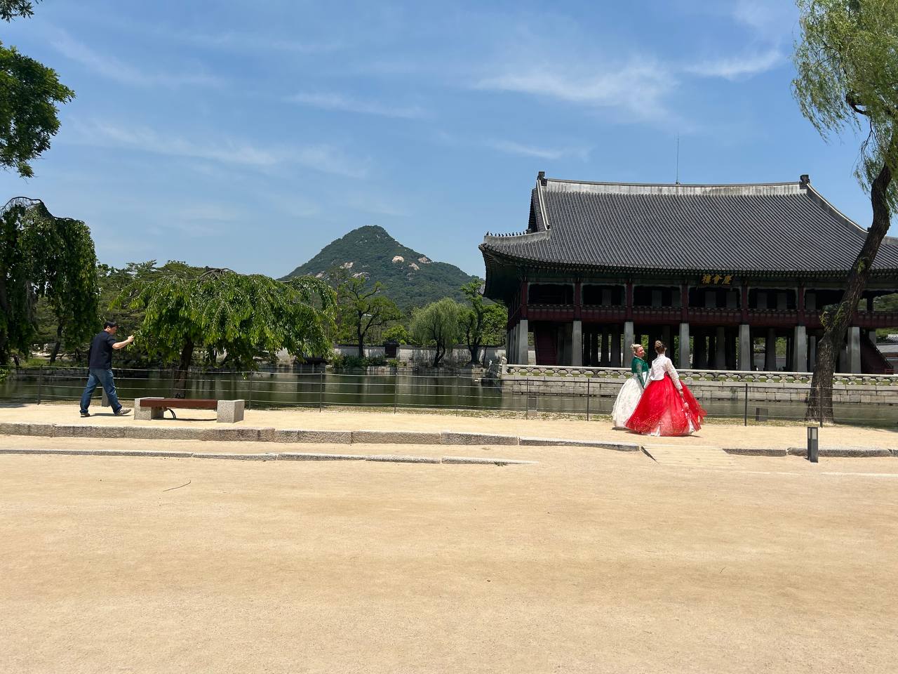 Весна в Южной Корее: Симфония Сакуры и Морского Бриза (4/8)