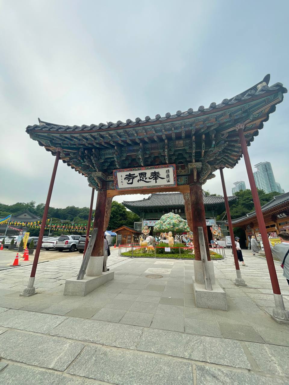 Весна в Южной Корее: Симфония Сакуры и Морского Бриза (8/8)