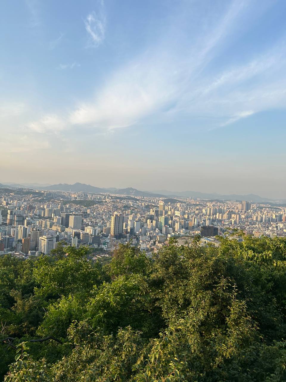 Весна в Южной Корее: Симфония Сакуры и Морского Бриза (2/8)