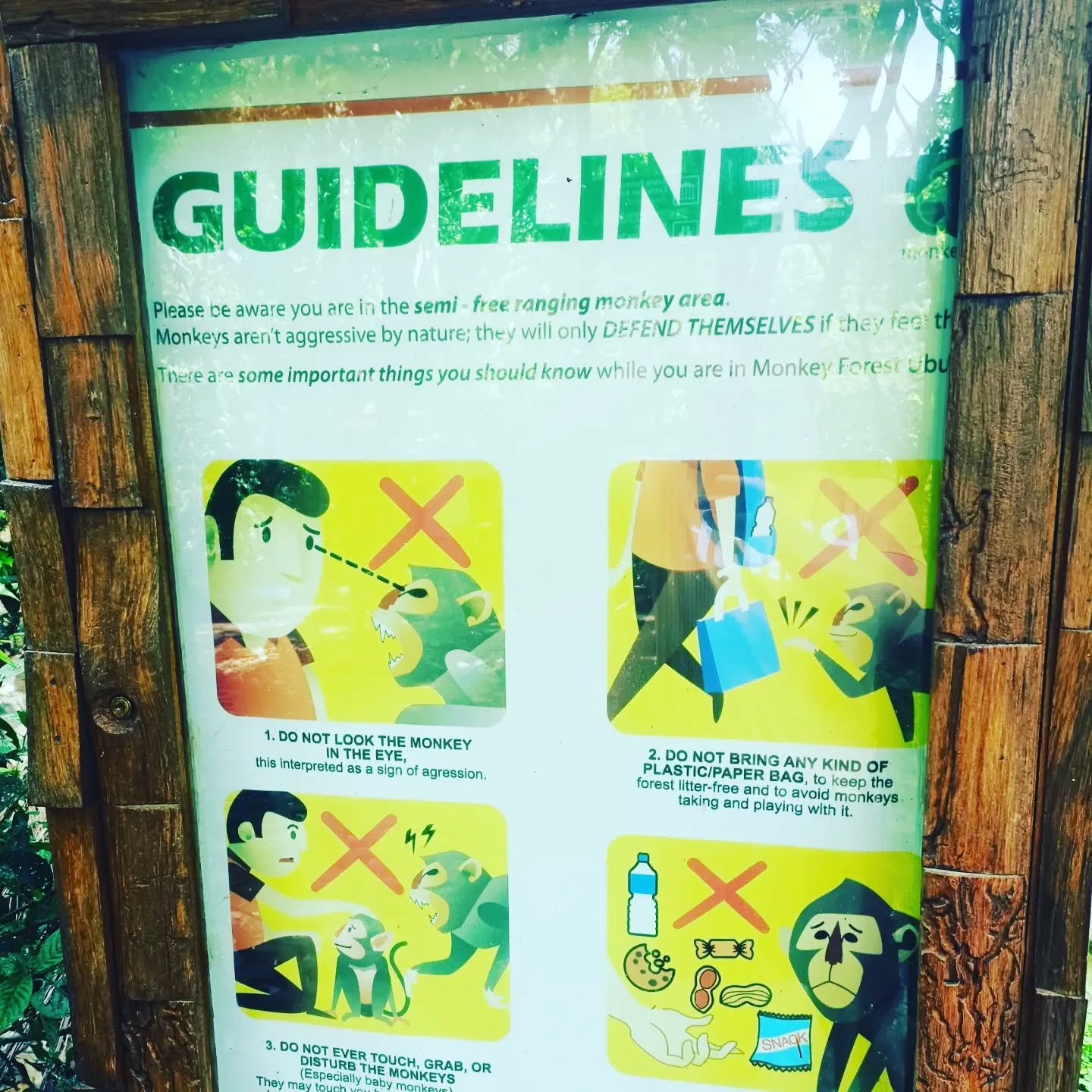 Бали и Нуса-Пенида: Ваш идеальный отдых за 8 дней (161/211)