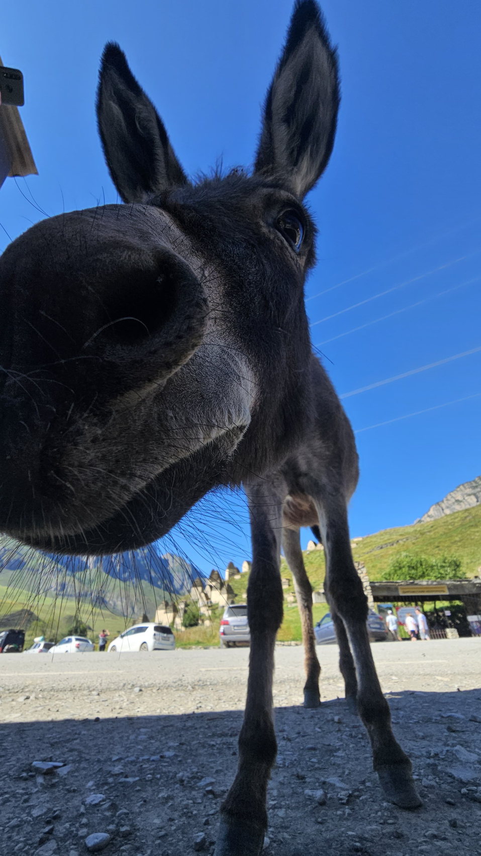 Улетные выходные (2/15)