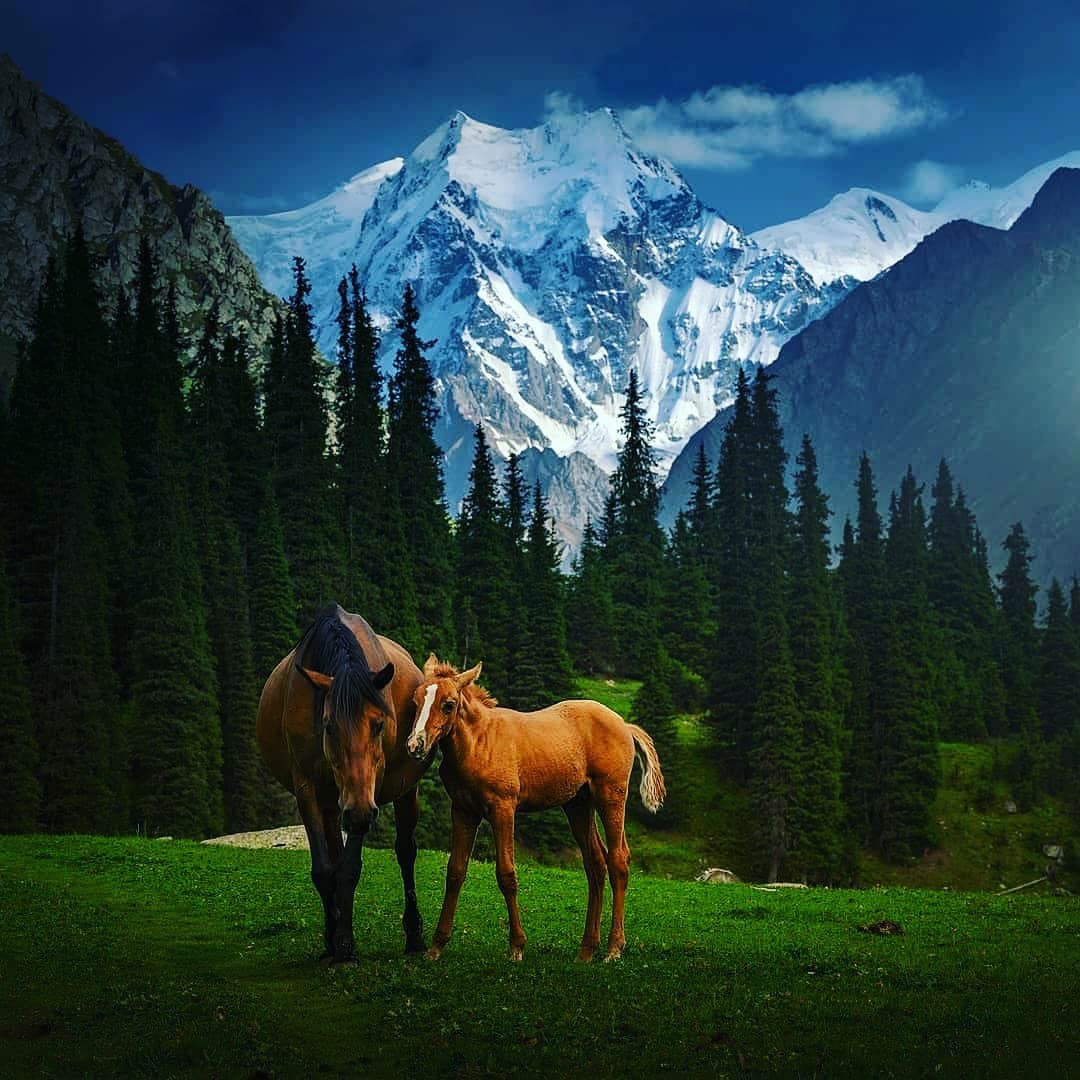 Путешествие в сердце Тянь-Шаня! Программа на 10 дней, по максимому! (28/80)