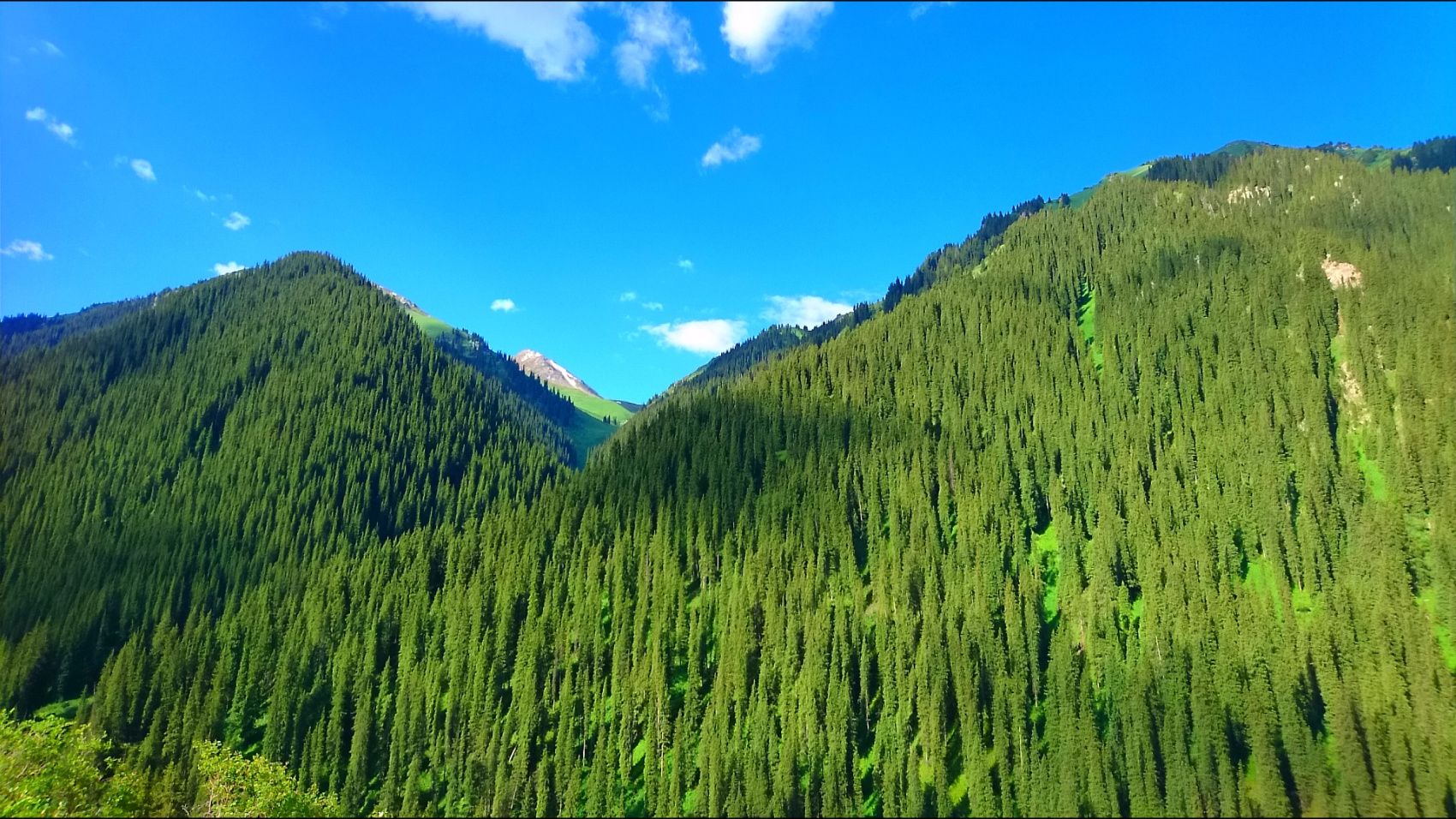 Путешествие в сердце Тянь-Шаня! Программа на 10 дней, по максимому! (46/80)