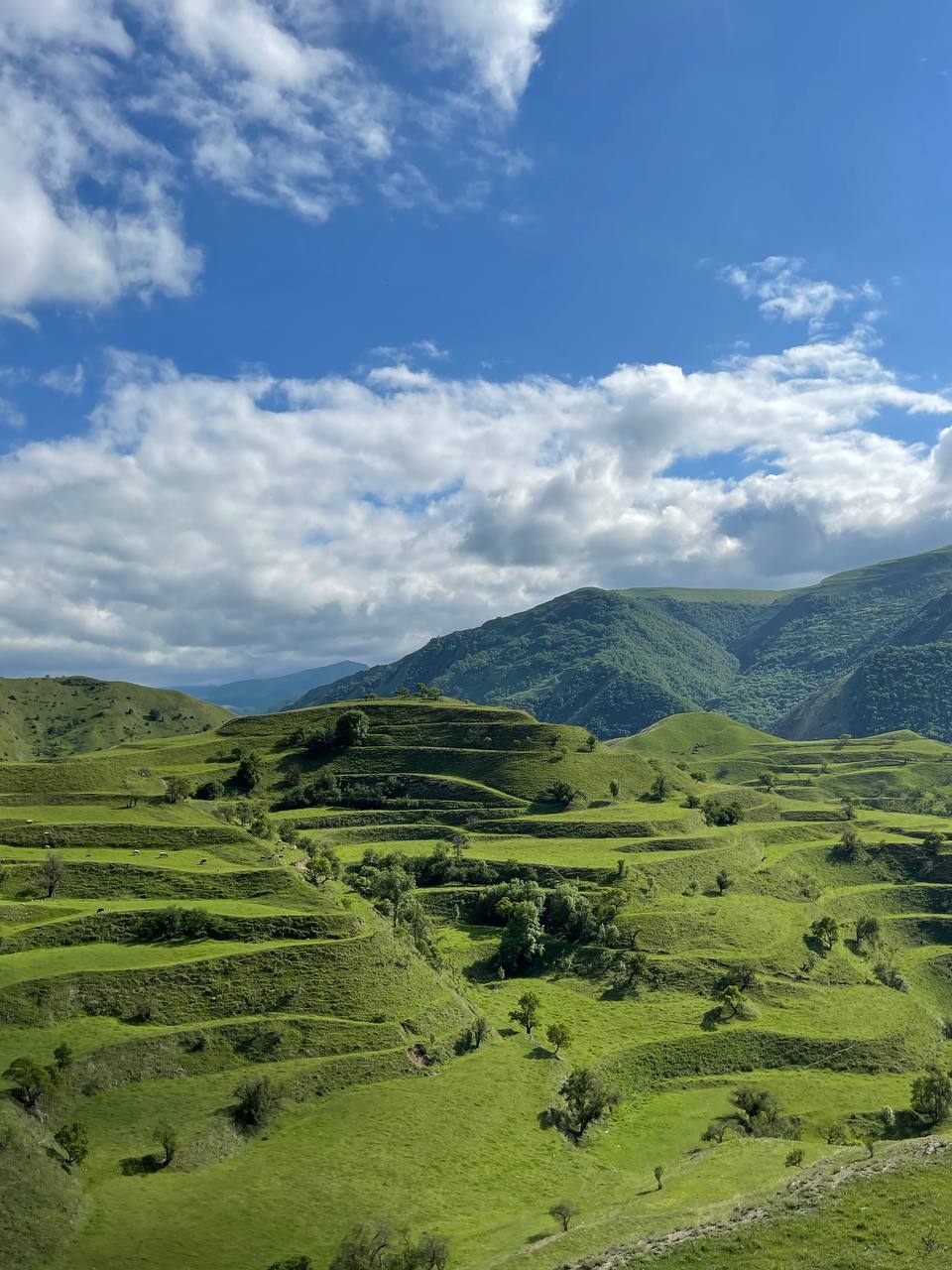 Дагестан. А поехали в горы! (5/25)