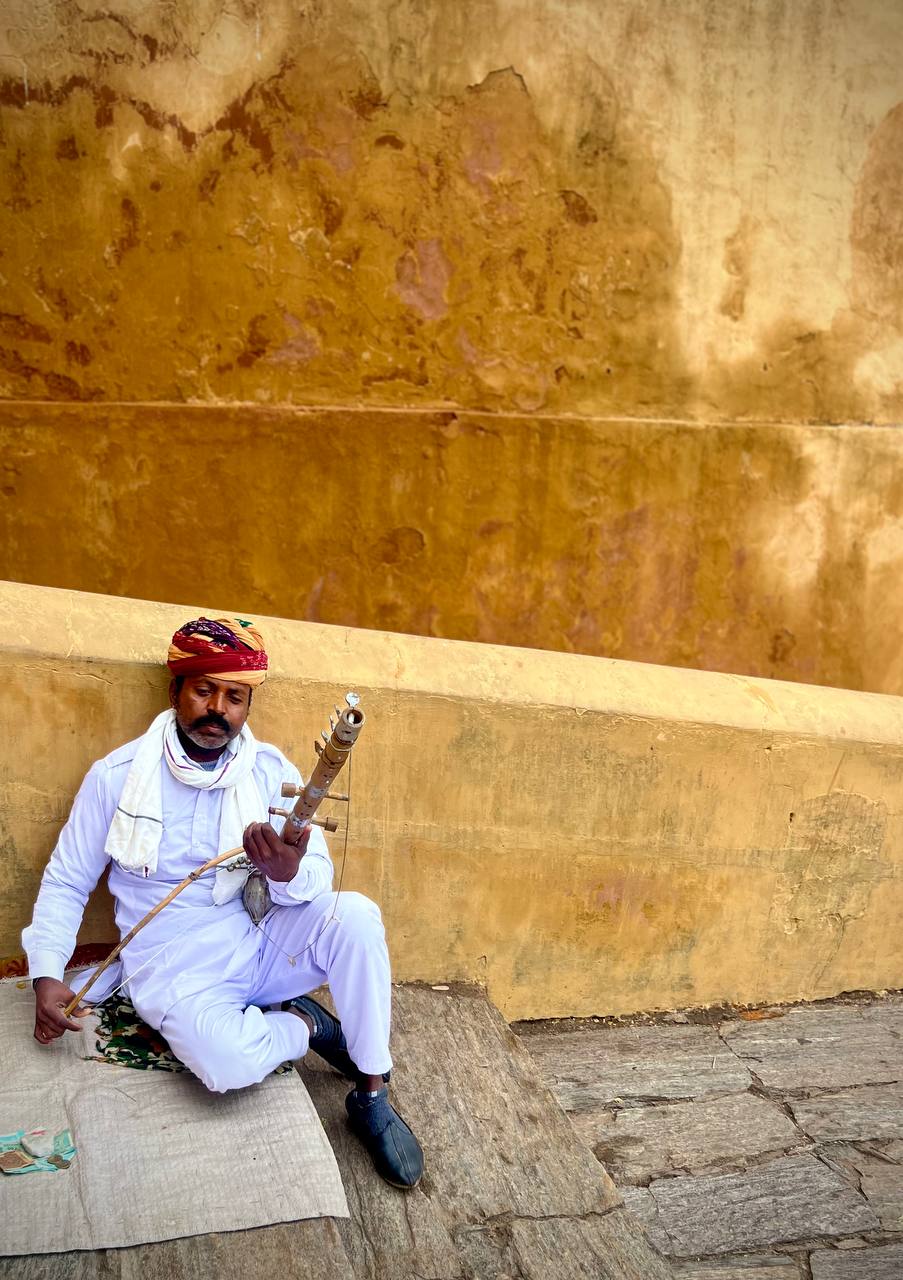 Индия: две даты: Ночь Шивы (10-20.02) и Фестиваль Холи (2-12.03) (16/94)