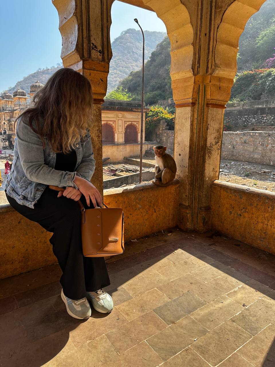 Индия: две даты: Ночь Шивы (10-20.02) и Фестиваль Холи (2-12.03) (25/94)