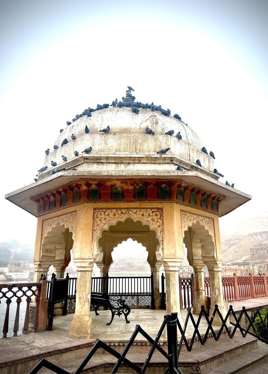 Индия: две даты: Ночь Шивы (10-20.02) и Фестиваль Холи (2-12.03) (17/94)