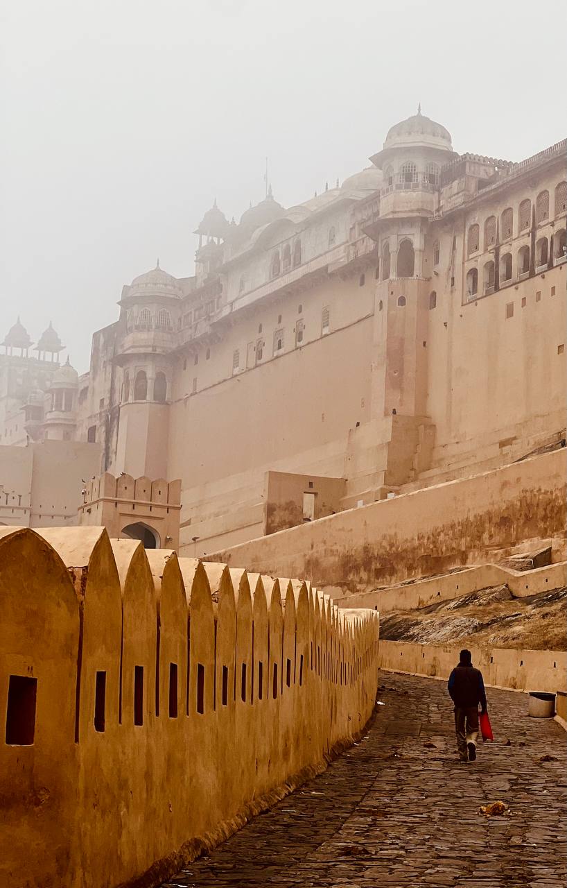 Индия: две даты: Ночь Шивы (10-20.02) и Фестиваль Холи (2-12.03) (18/94)