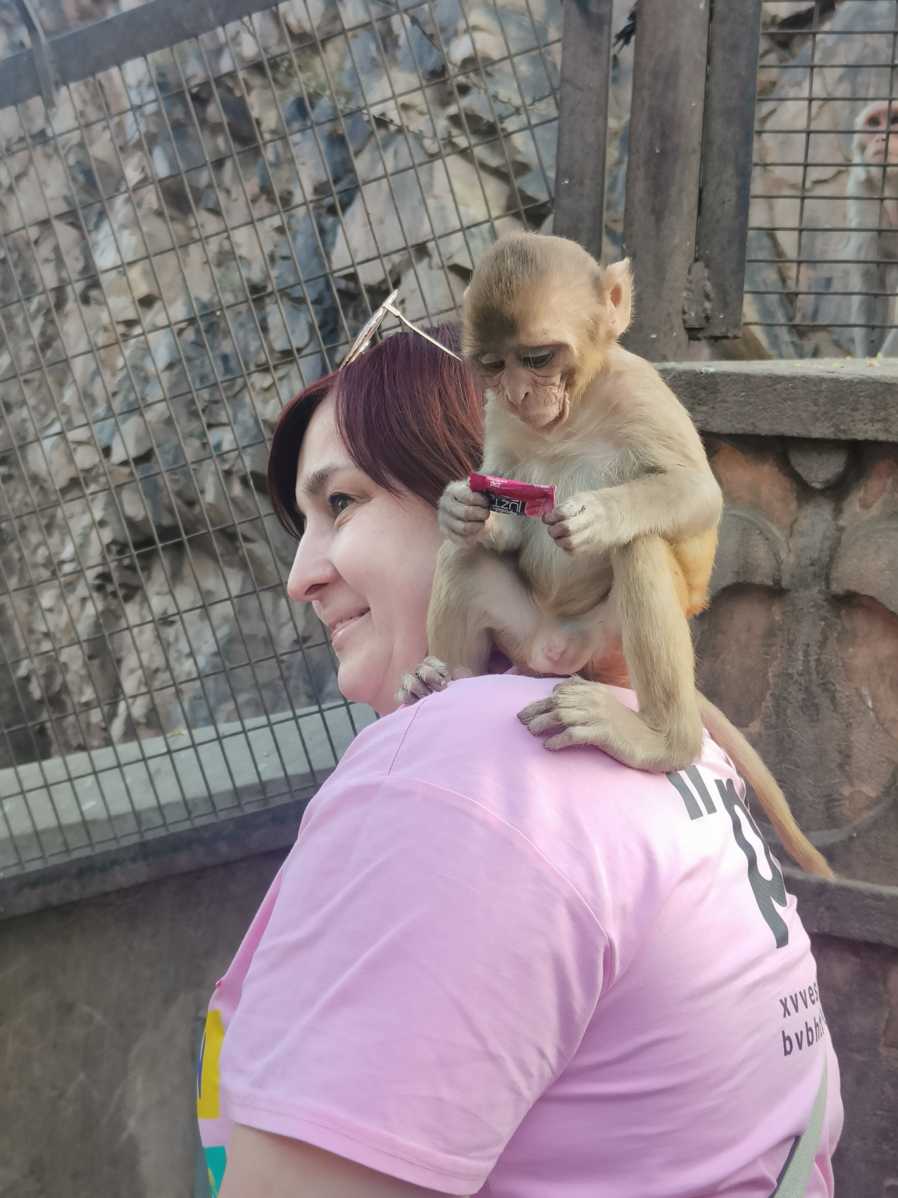 Индия: две даты: Ночь Шивы (10-20.02) и Фестиваль Холи (2-12.03) (61/94)