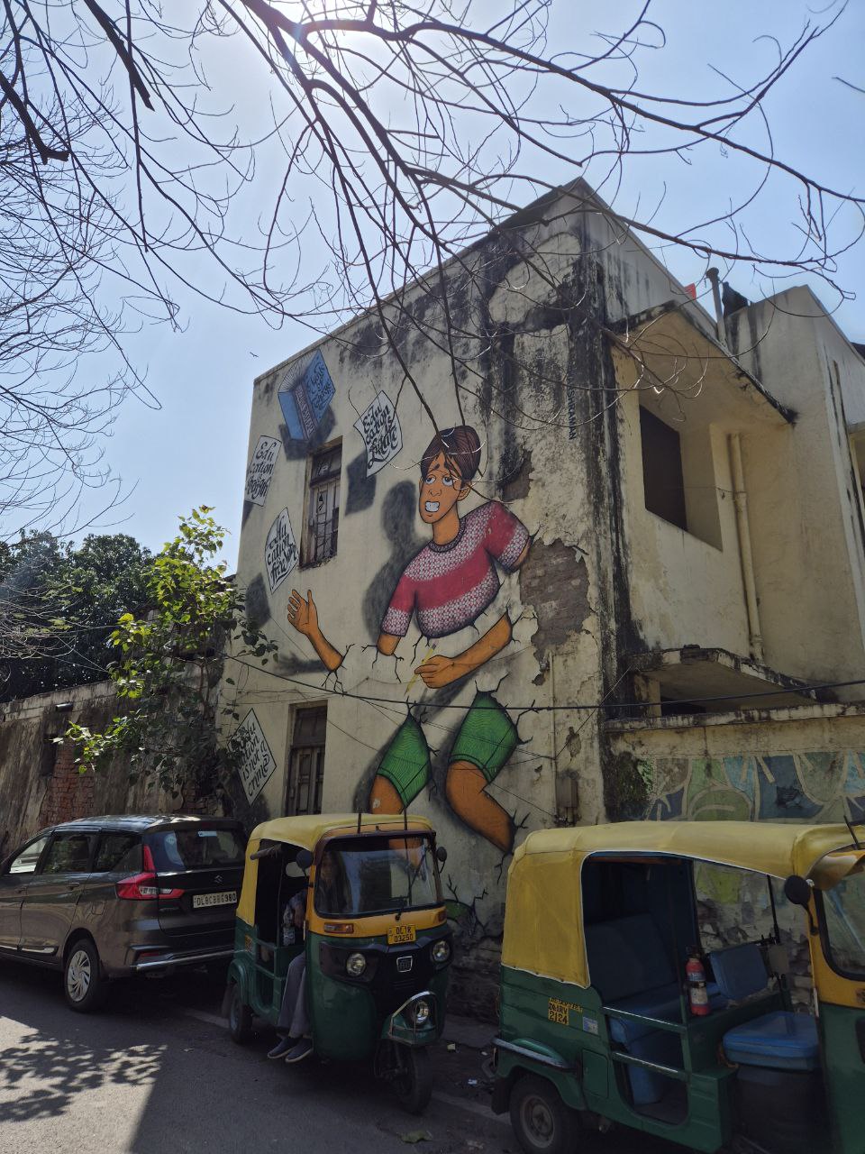 Индия: две даты: Ночь Шивы (10-20.02) и Фестиваль Холи (2-12.03) (57/94)