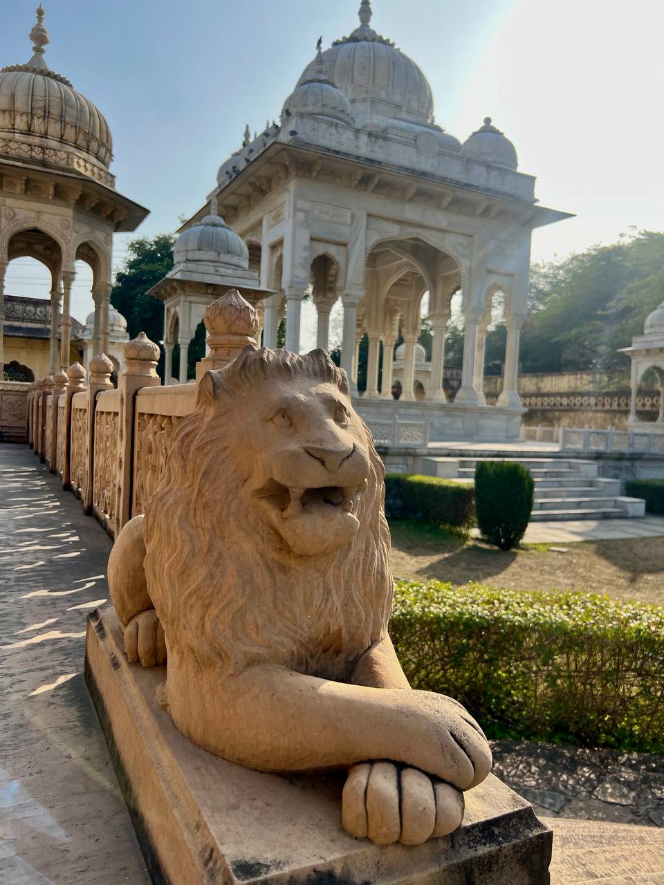 Индия: две даты: Ночь Шивы (10-20.02) и Фестиваль Холи (2-12.03) (8/94)