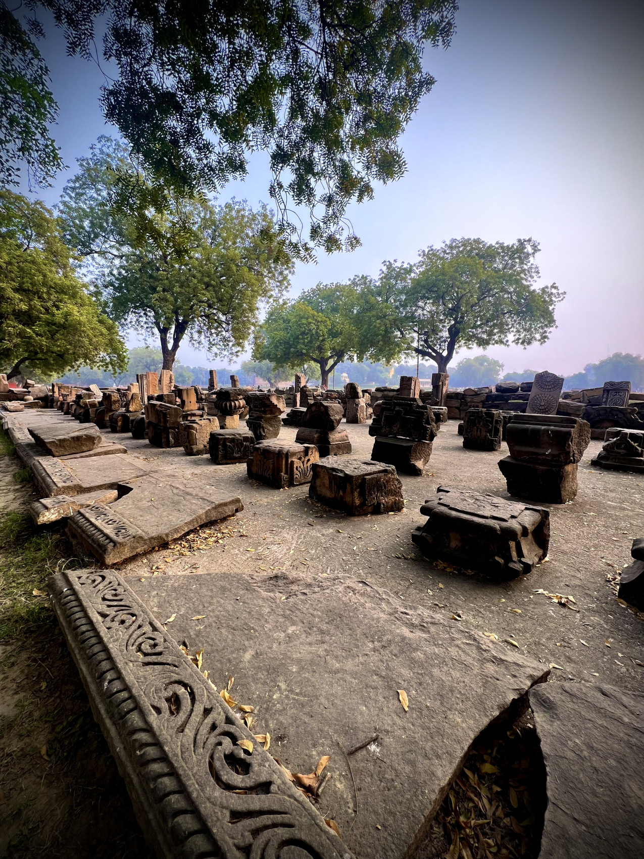 Индия: две даты: Ночь Шивы (10-20.02) и Фестиваль Холи (2-12.03) (51/94)