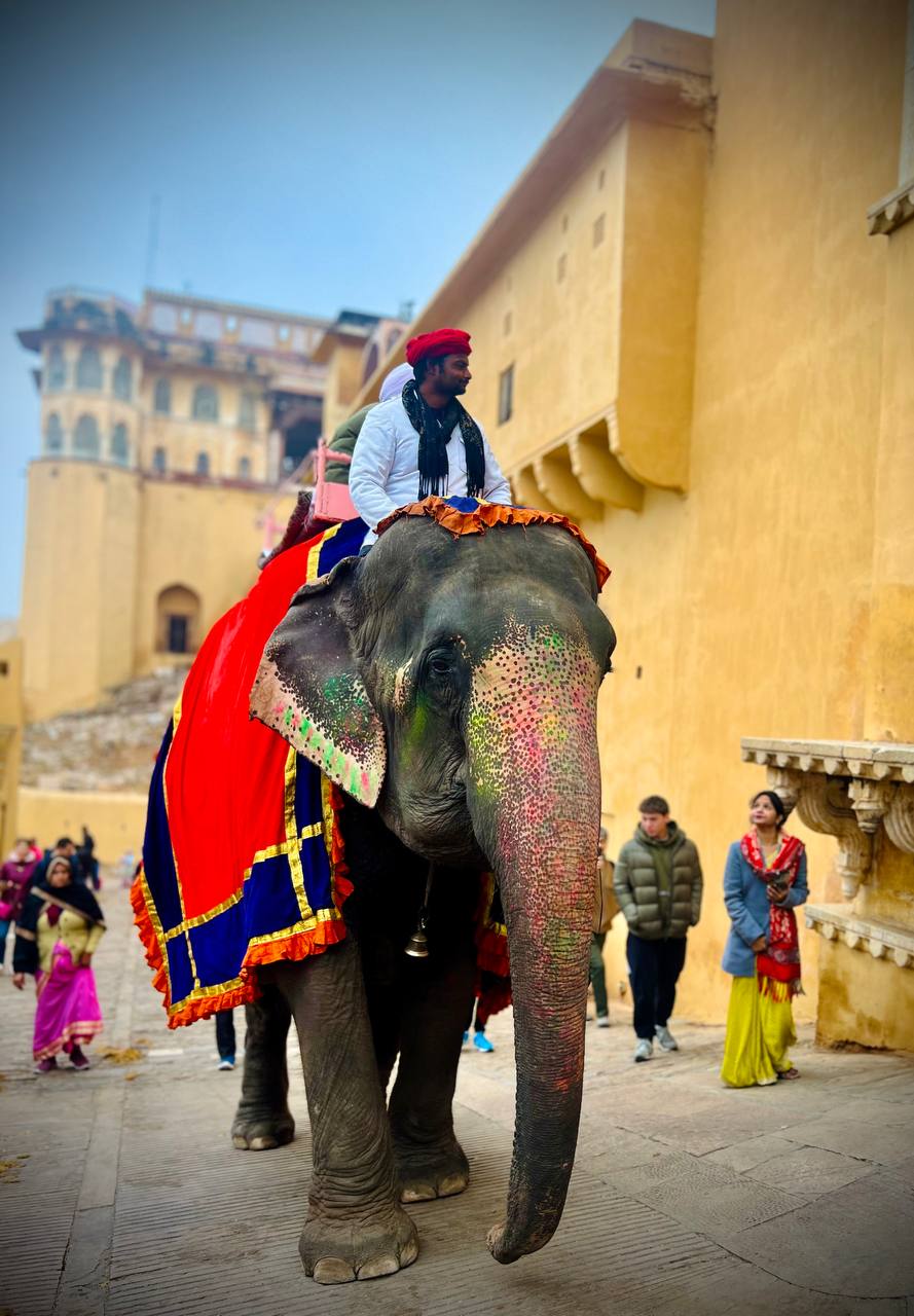 Индия: две даты: Ночь Шивы (10-20.02) и Фестиваль Холи (2-12.03) (13/94)