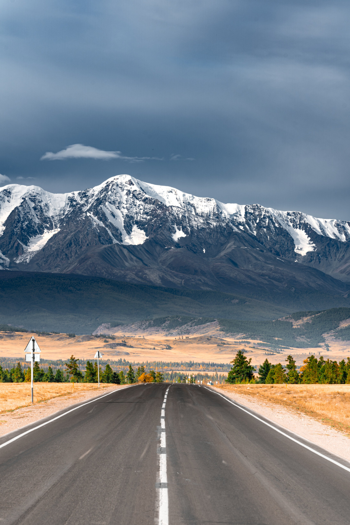 Цветение маральника, 3 дня (3/10)