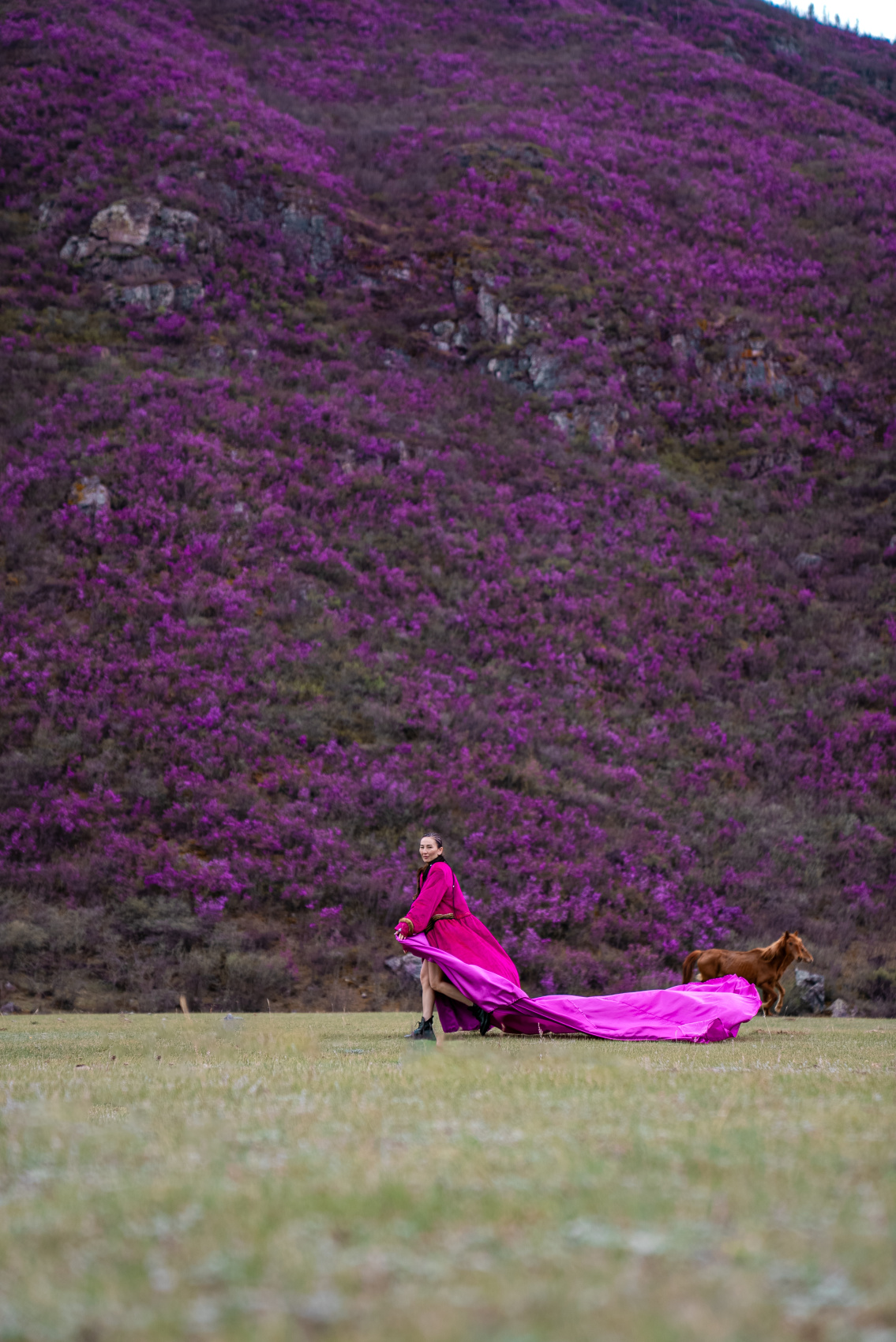 Цветение маральника, 3 дня (8/10)