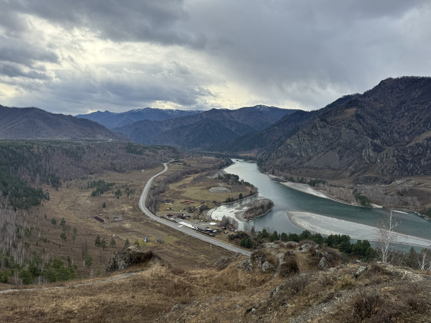 Цветение Маральника (6/17)